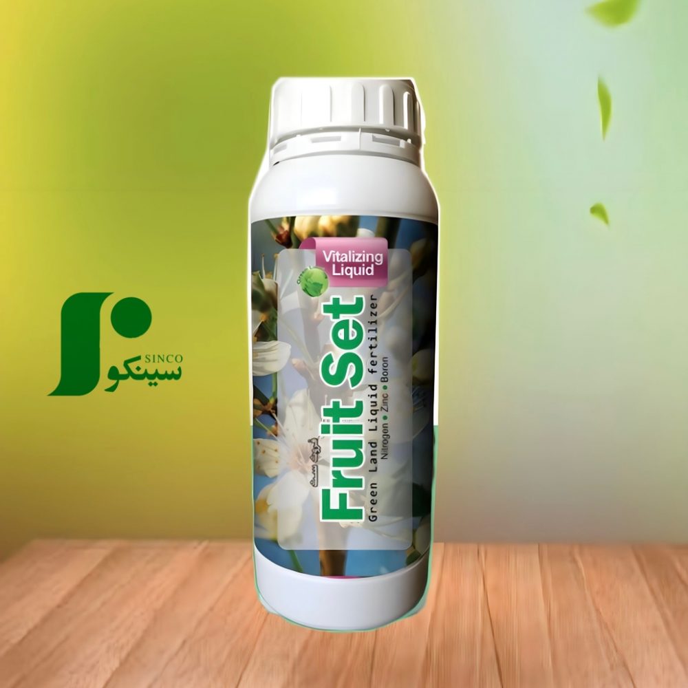 BEC9194D-1520-4DE8-B8D1-DF9E4169A007-1030x1030